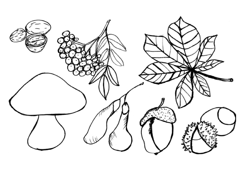 Online coloring book: Autumn gifts coloring book